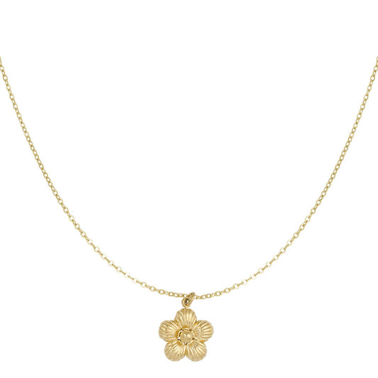 Ketting Daisy - Goud