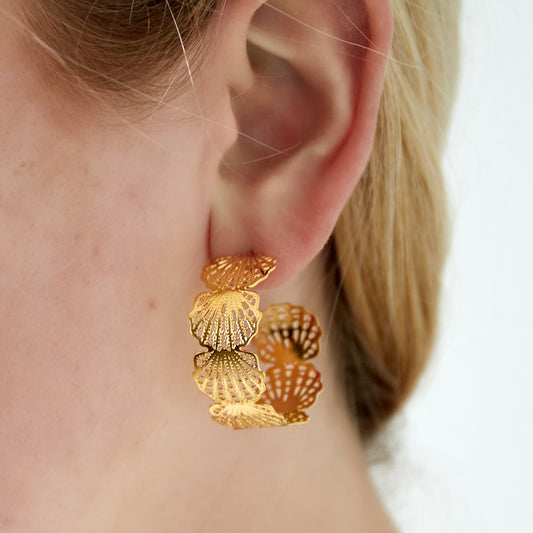 Hoepeloorbellen - Schelpen